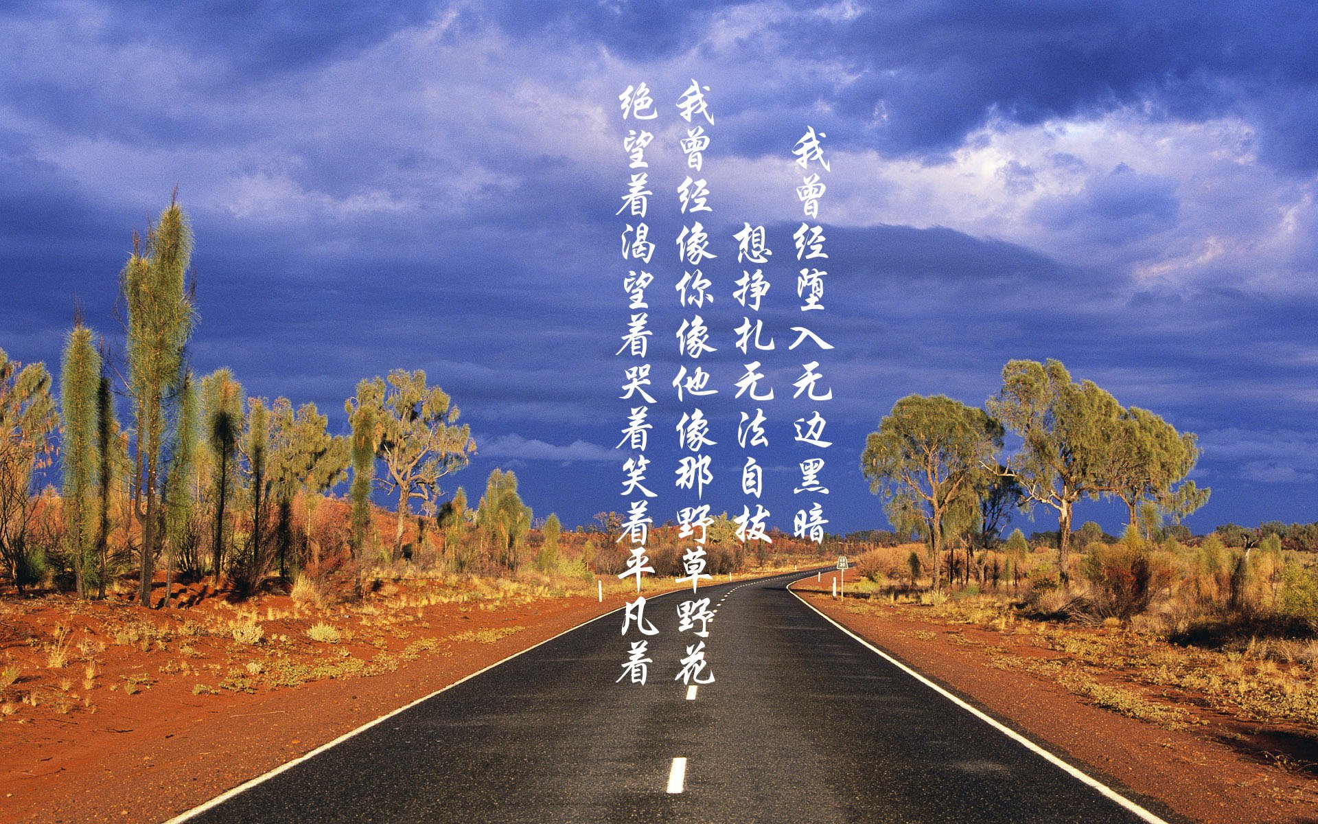 西甲国家德比之夜,库里惊艳四座,当篮球传奇闯入足球圣殿